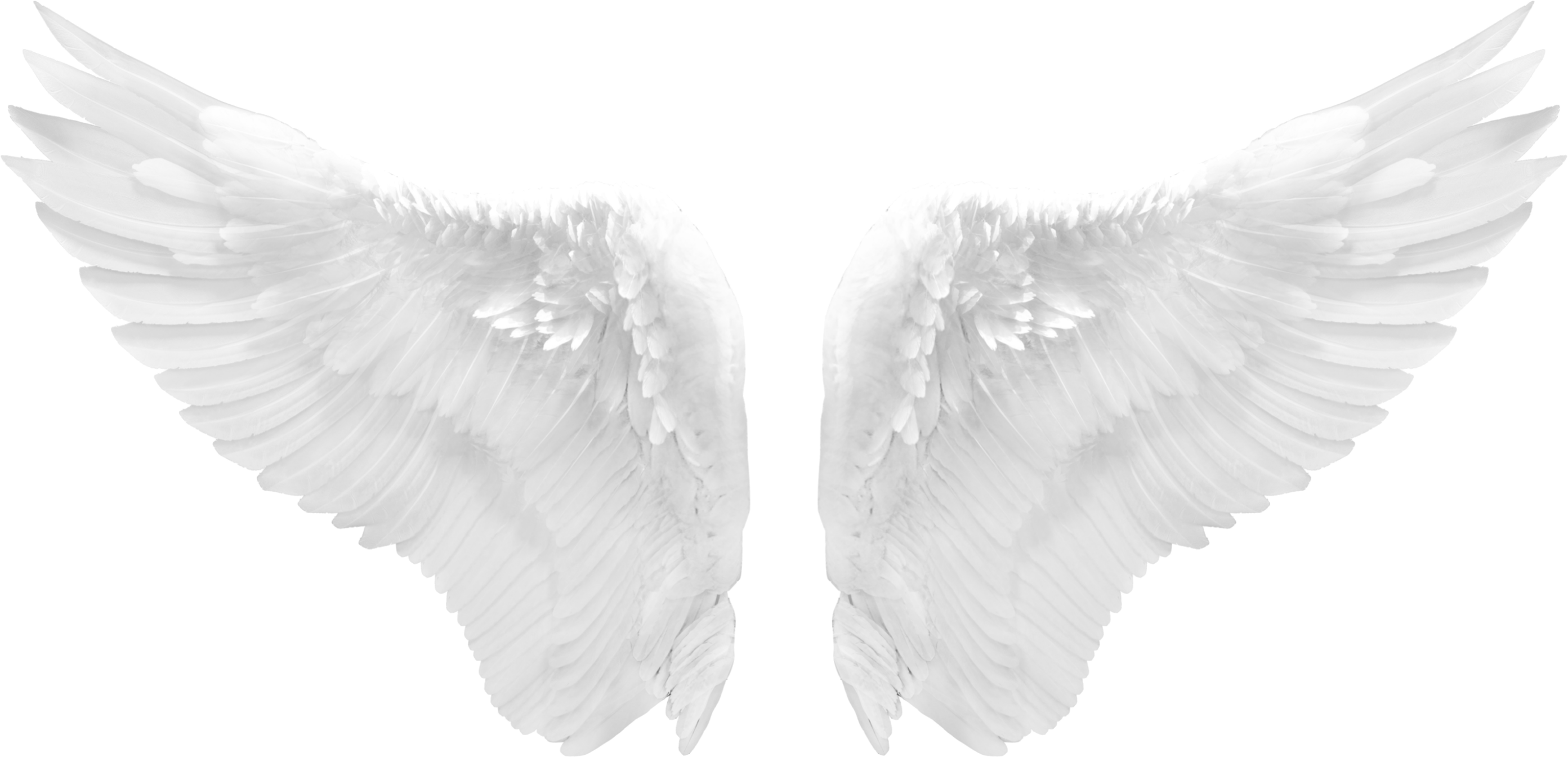 angel wings