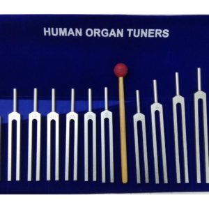 The Human Organ Tuning Forks Set